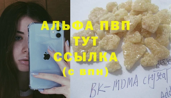 молекула духа Гусев