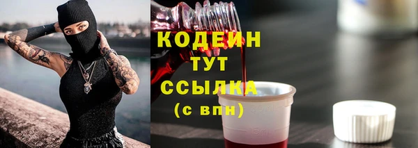 молекула духа Гусев