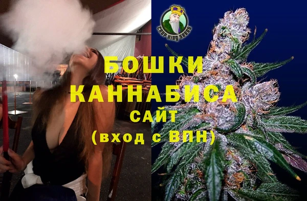молекула духа Гусев