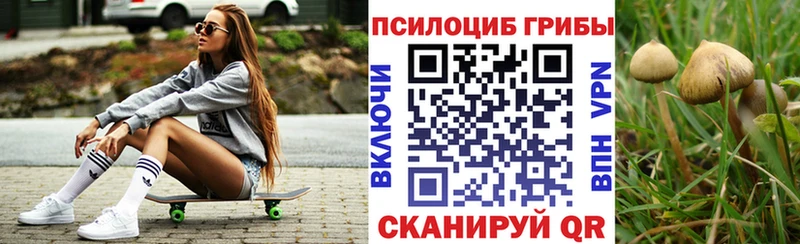 Псилоцибиновые грибы ЛСД  Купить где  Урус-Мартан 