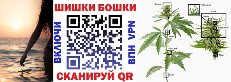 Конопля индика  Купить закладки  Урус-Мартан 